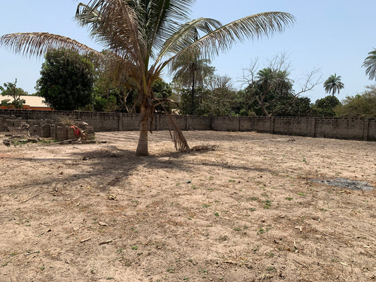 FENCED 30m*30m PLOT AT TANJI